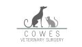 cowes_logo block.JPG